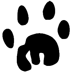 Lion Paw Print Clip Art Constellation Aviation Consulting   Clipart    