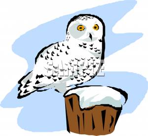 Snow Owl Standing On A Snowy Stump   Royalty Free Clipart Picture