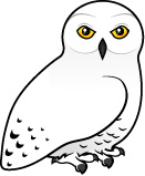 Snowy Owl Carton   Clipart Best