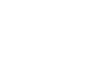White Kiwi Bird Clip Art   Silhouette   Download Vector Clip Art