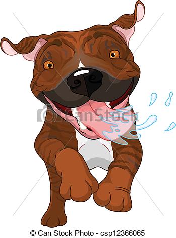 Brindle Pit Bull Dog Running And Drooling Csp12366065   Search Clipart    