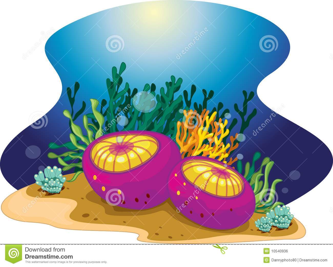 Sea Plants Royalty Free Stock Image   Image  10540936
