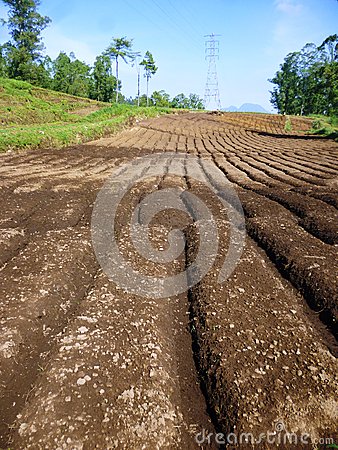 Vacant Land Ready For Planting Plants In The Tropics Indonesia