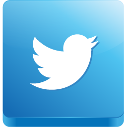 3d Tile Twitter Bird Icon Png Clipart Image   Iconbug Com