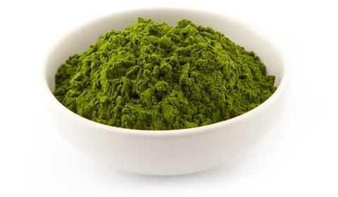 Barley Grass Juice Powder Benefits Image Search Results