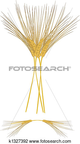 Clipart Of Sheaths Of Barley K1327392   Search Clip Art Illustration