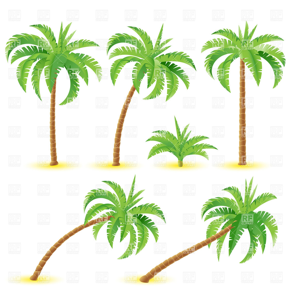 Coconut Palm Tree Clip Art Coconut Palm In Different