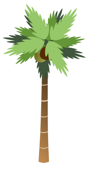 Coconut Palm Tree White Background Clip Art