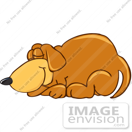     Dog Character Curled Up And Sleeping Peacefully   0025 0802 2321 1515