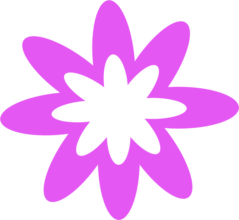 Purple Burst Flower By Scout   A Purple Burst Flower
