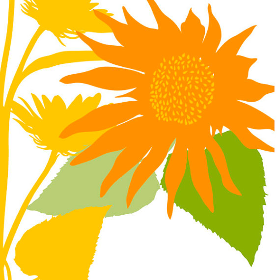 11 Sunflower Silhouettes   Sun Flower Clip Art   Abr Photoshop Brush
