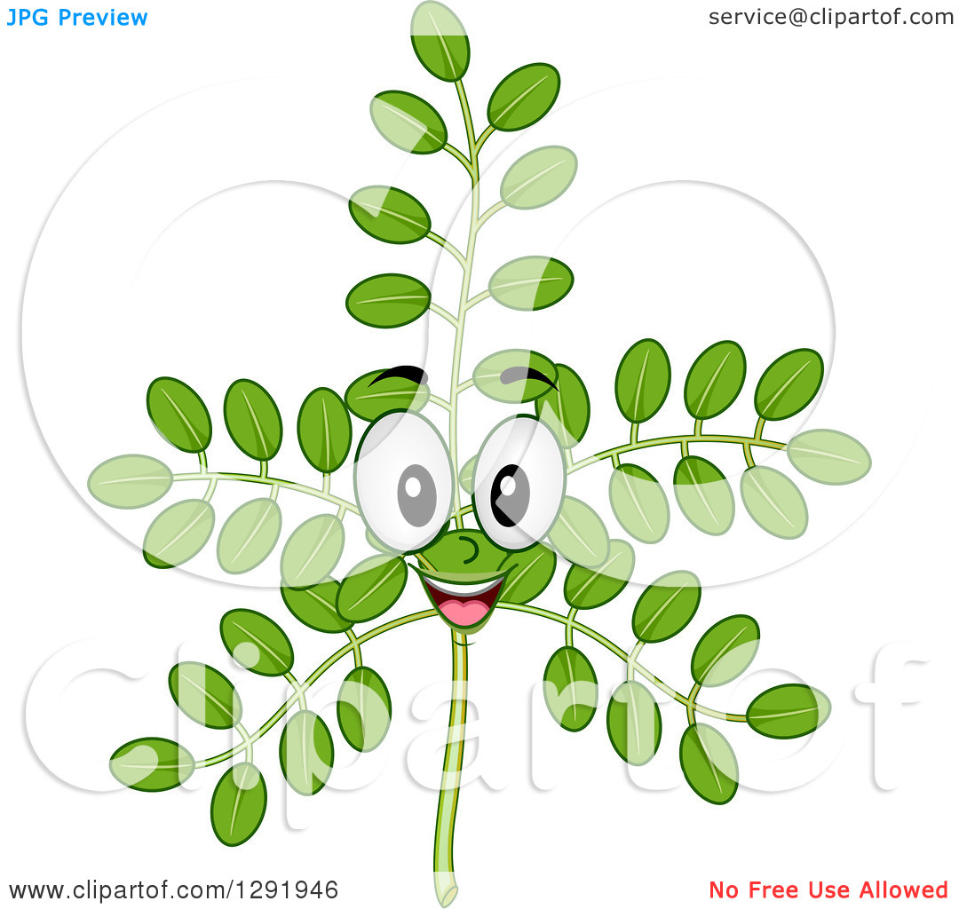 Clipart Of A Cartoon Happy Moringa Plant Stalk Character   Royalty