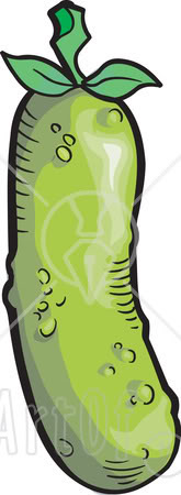 Dill Pickle Clip Art