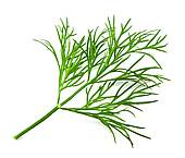 Dill Stock Photos And Images