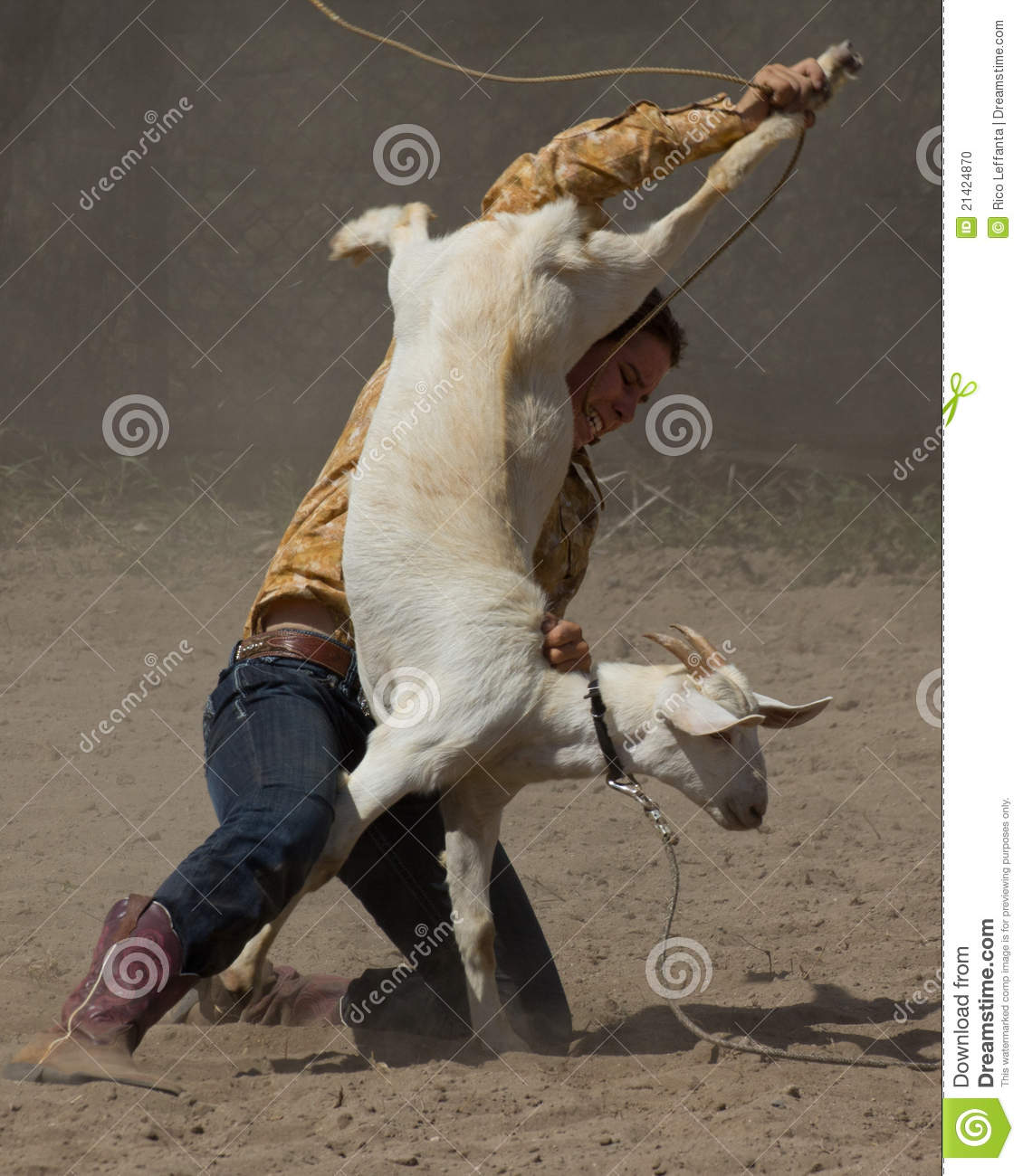 Getting Your Goat Editorial Image   Image  21424870