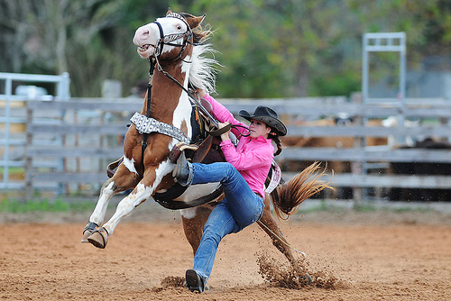 Goat Tying   2  Florida High School Rodeo   Flickr   Photo Sharing 