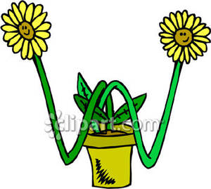 Happy Face Daisy Plant   Royalty Free Clipart Picture