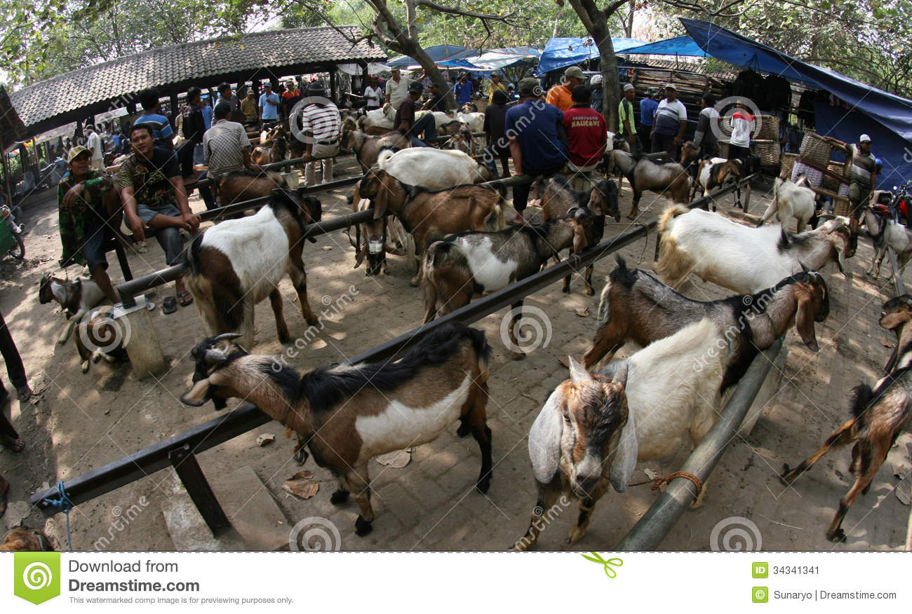 Merchants Offer Goats At A Traditional Market In Sukoharjo Central