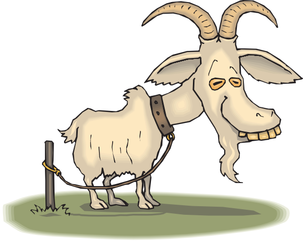 Old Goat Clip Art At Clker Com   Vector Clip Art Online Royalty Free    