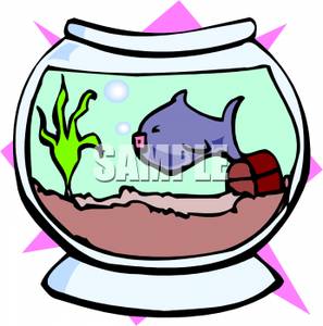 Pet Fish In A Fishbowl   Royalty Free Clipart Picture