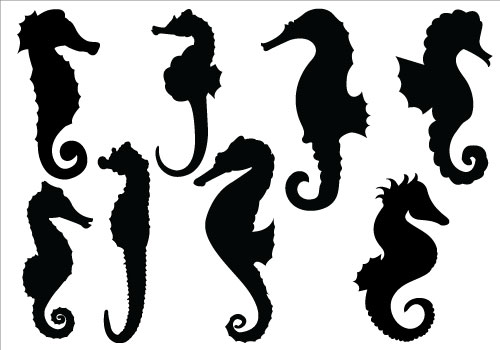 Seahorse Silhouette Vector Clipart Download Horse
