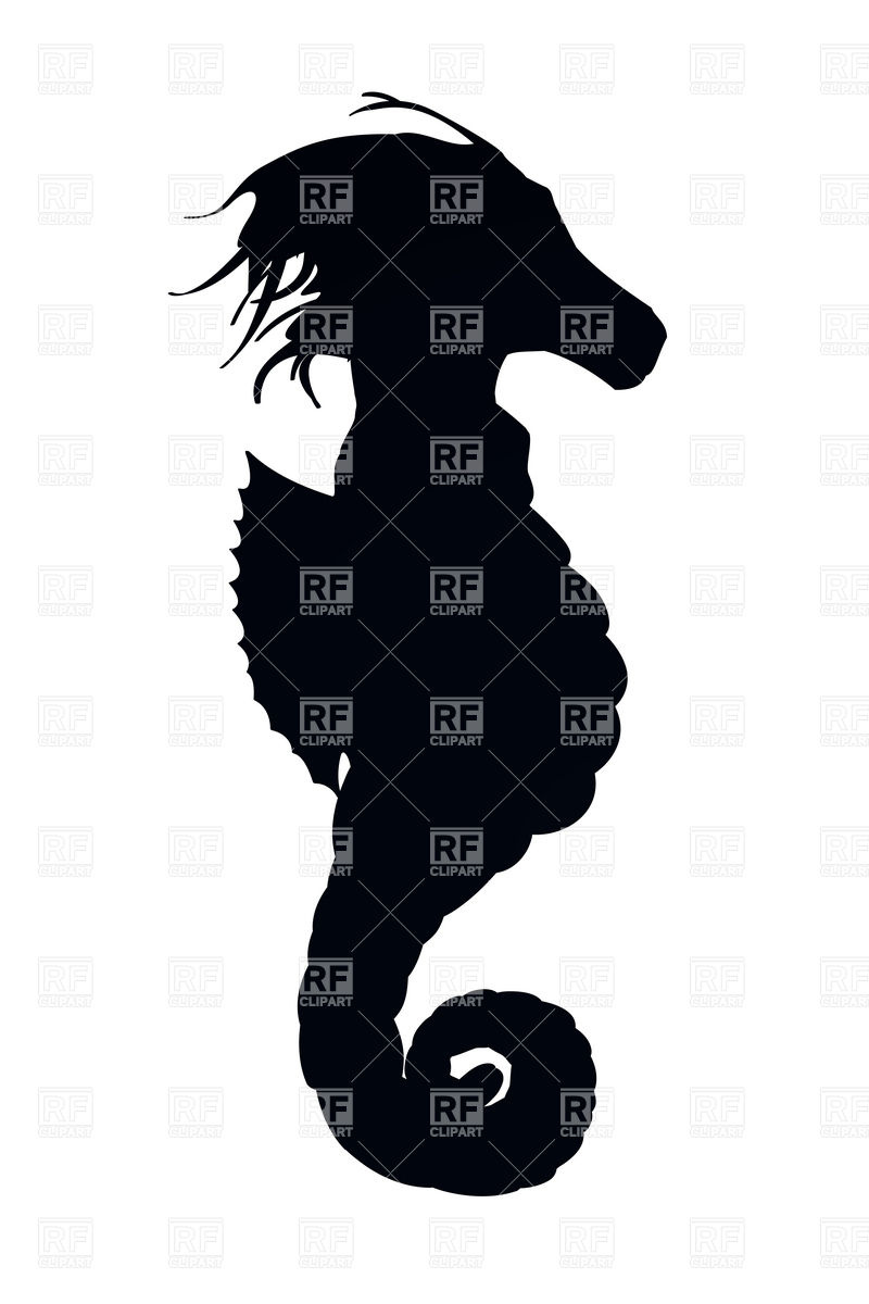 Silhouette Of Seahorse 12585 Plants And Animals Download Royalty