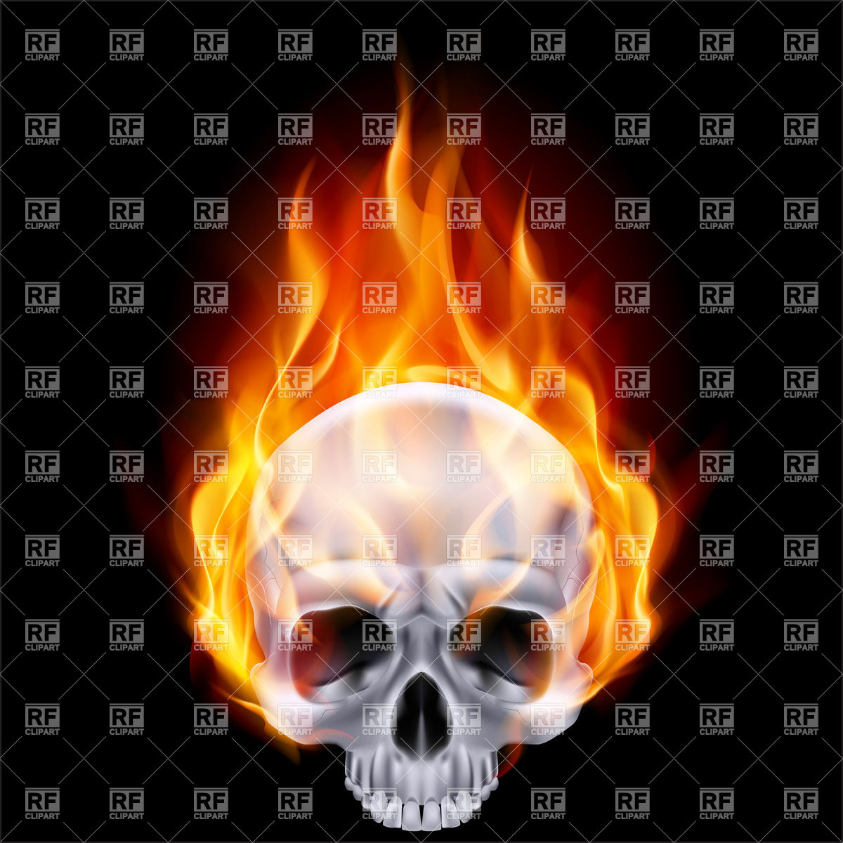 Skull On Black Background Download Royalty Free Vector Clipart  Eps