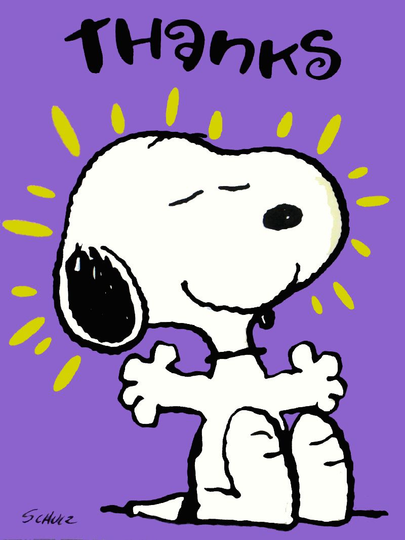 Snoopy Thank You Cards  Snoopn4pnuts Com