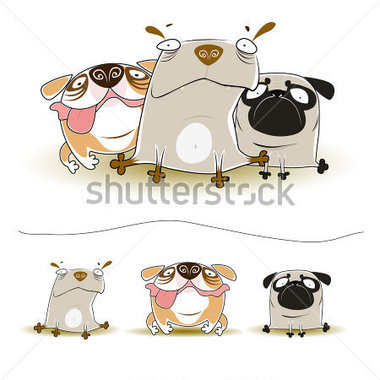 Source File Browse   Animals   Wildlife   Three Funny Dogs Isolated