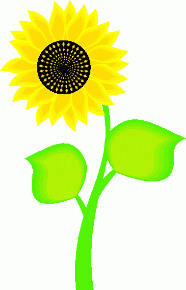 Sunflower Clipart   Item 4   Vector Magz   Free Download Vector