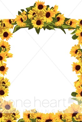 Sunflower Full Frame   Summer Borders