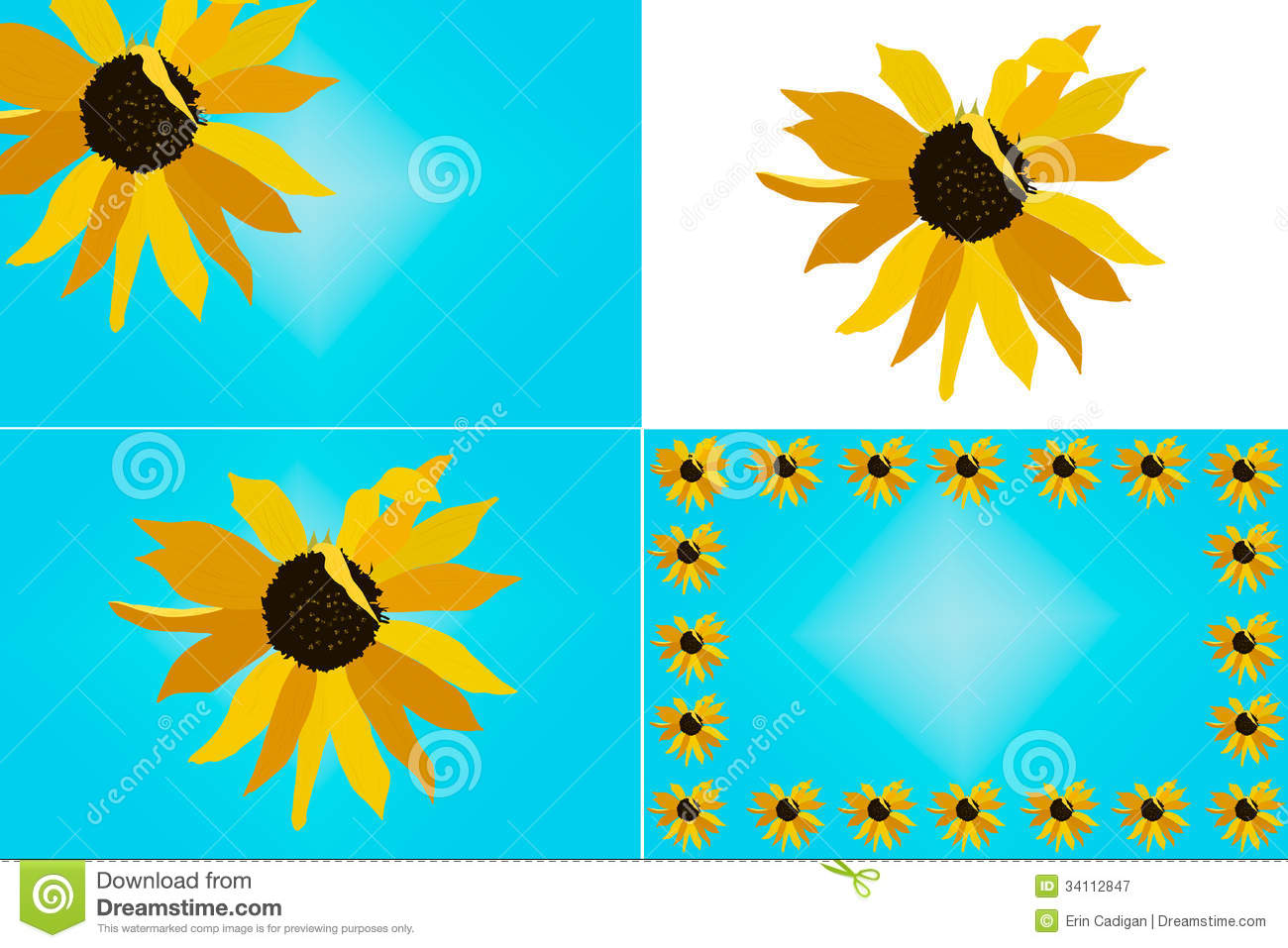 Sunflower Illustration Set Royalty Free Stock Photography   Image