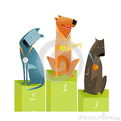 Three Dogs On The Podium Winners With Medals On White Background