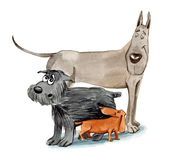 Three Funny Dogs Stock Vectors Illustrations   Clipart