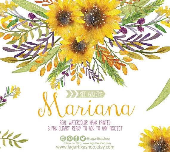 Wedding   Watercolor Sunflower Clipart Floral Frame Png Wedding