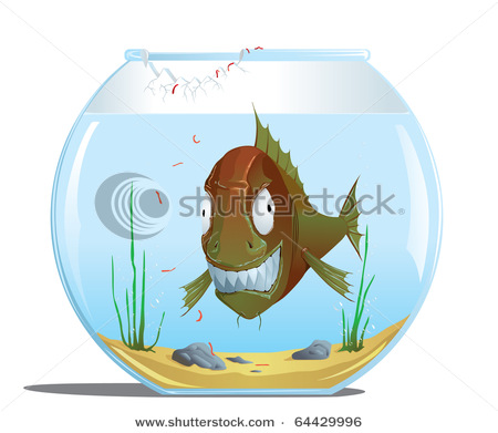 And Angry Looking Fish In A Fishbowl In A Vector Clip Art Illustration
