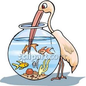 Bird Stealing Fish From A Fishbowl   Royalty Free Clipart Picture