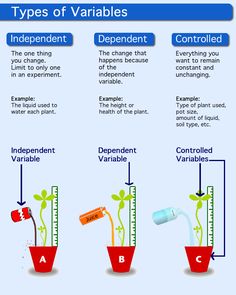 Description Of Independent Variable Dependent Variable And Control