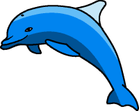 Do Dolphins Dream