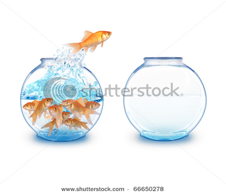 Gold Fish Is Jumping Over To An Empty Fishbowl For More Room To