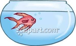 Happy Goldfish In A Fishbowl   Royalty Free Clipart Picture