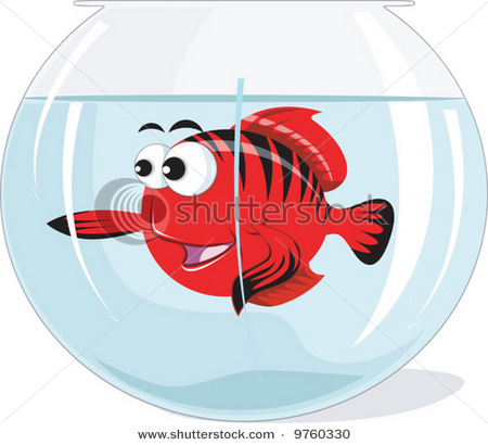 Picture Of A Brightly Colored Tropical Fish In An Aquarium Or Fishbowl    
