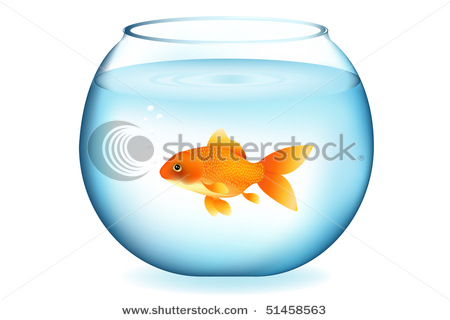 Picture Of A Goldfish Alone In A Fishbowl In A Vector Clip Art    