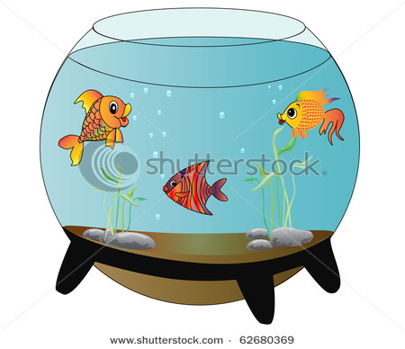 Picture Of Tropical Fish Swimming In A Fish Bowl Or Fish Tank In This    
