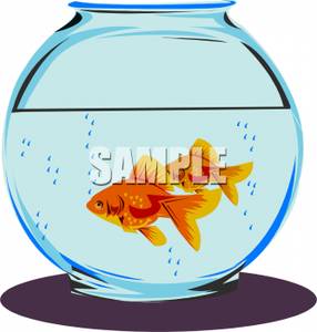 Two Realistic Goldfish In A Bowl   Royalty Free Clipart Picture