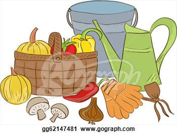 And Harvest Basket With Vegetable   Sketch Style  Clip Art Gg62147481