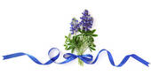 Bluebonnet Images And Stock Photos  419 Bluebonnet Photography And    