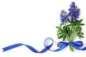 Bouquet Of Bluebonnets