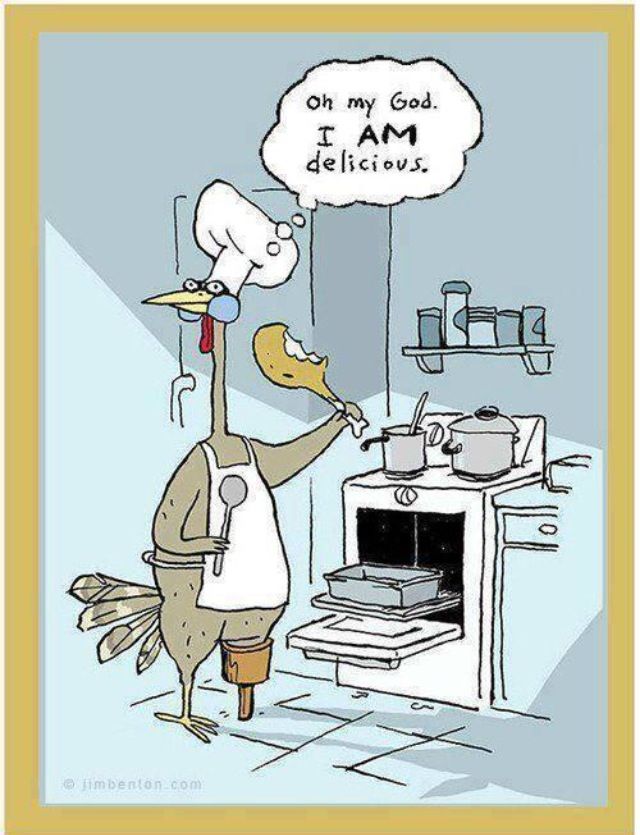 Happy Thanksgiving     Funny And Other Stuff   Pinterest