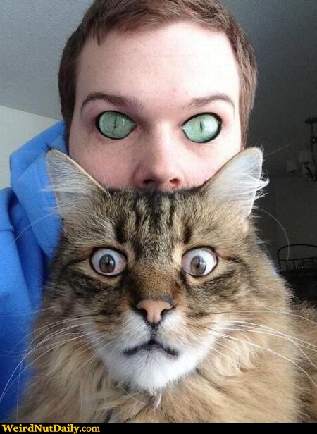 Human With Cat Eyes Cat With Human Eyes